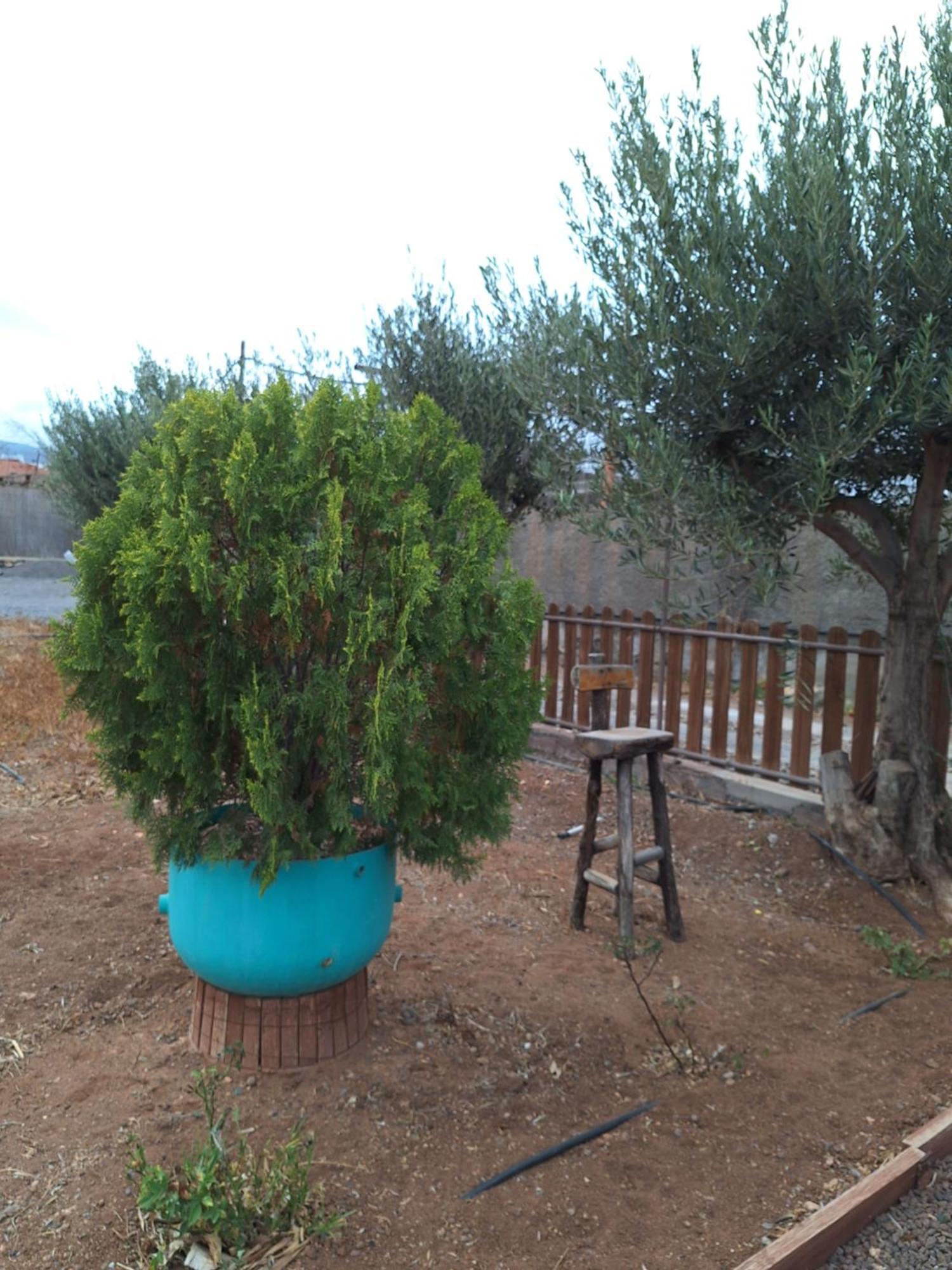 Casita Leos Διαμέρισμα Agüimes Εξωτερικό φωτογραφία