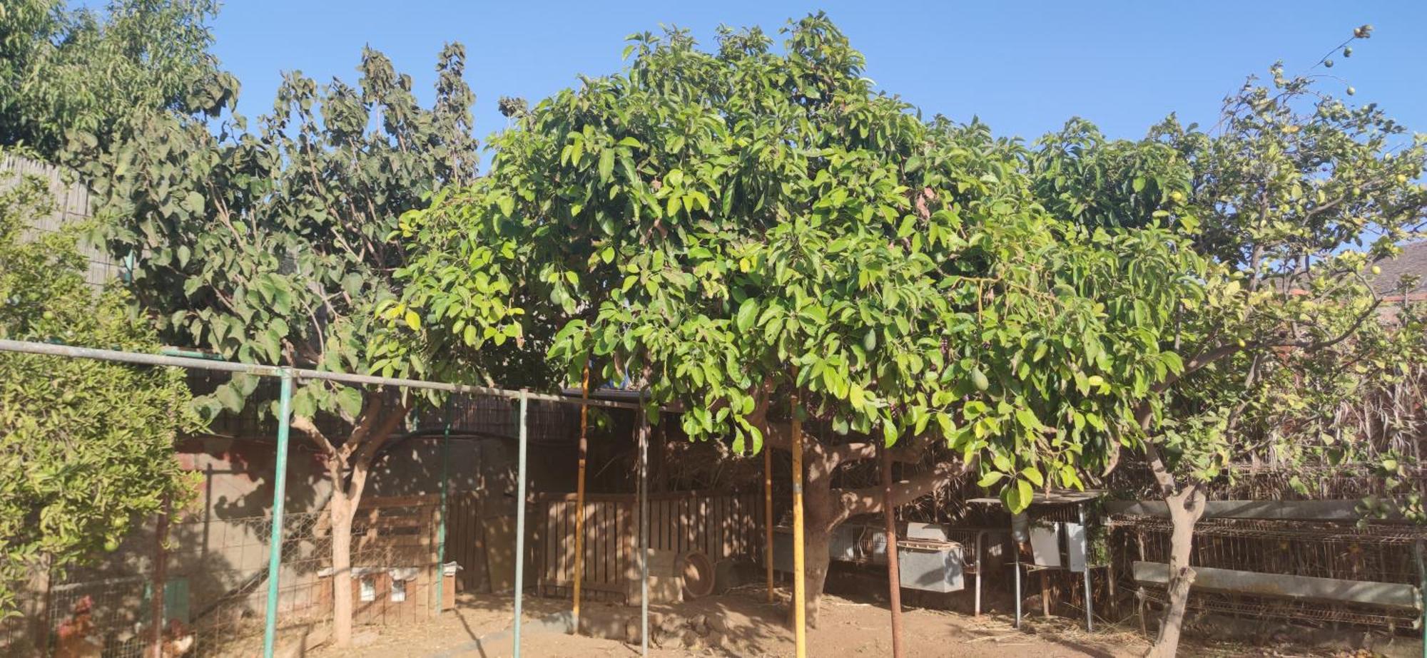 Casita Leos Διαμέρισμα Agüimes Εξωτερικό φωτογραφία